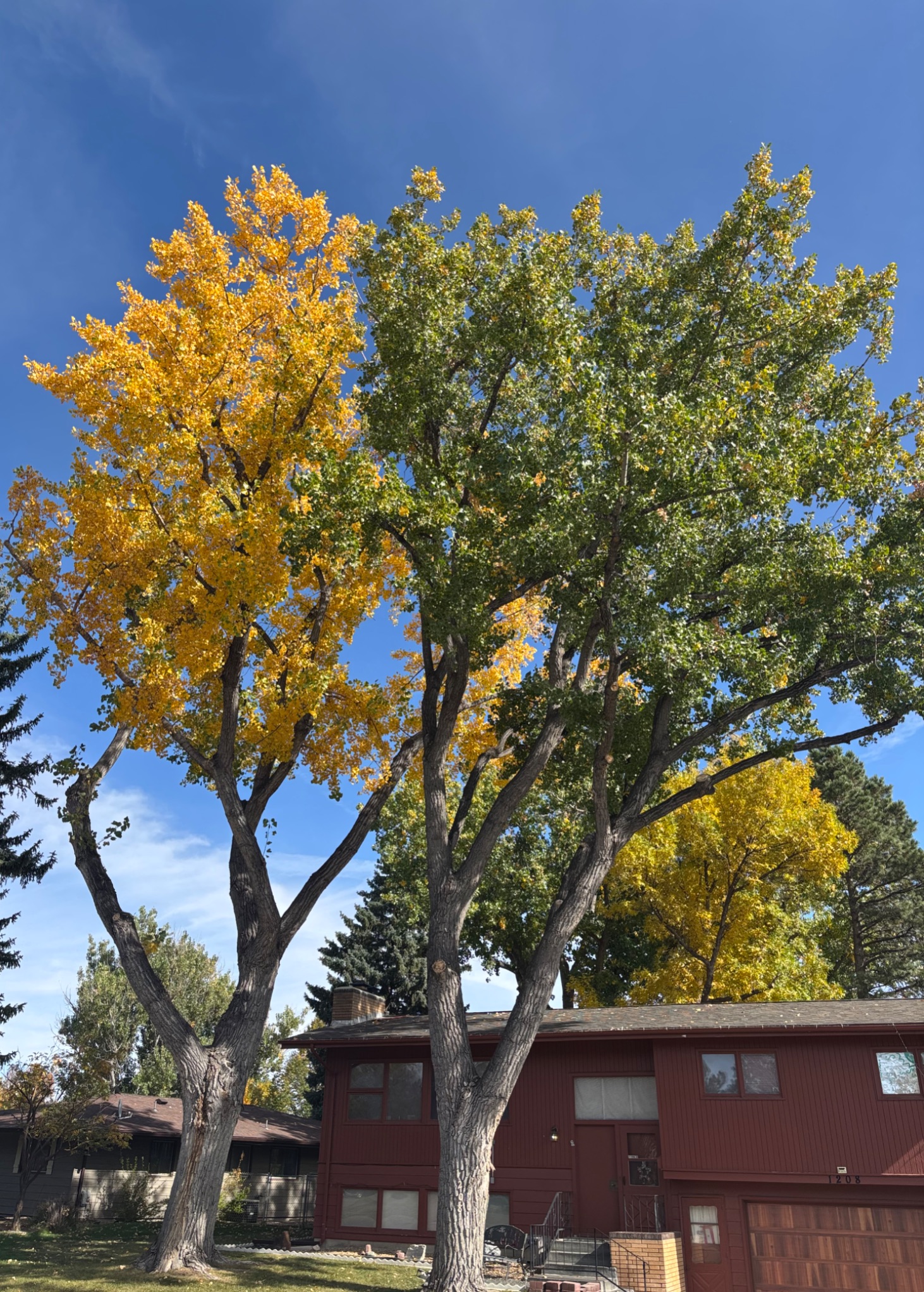 Community photo by Jeffrey Palmer | Great Falls, MT, USA