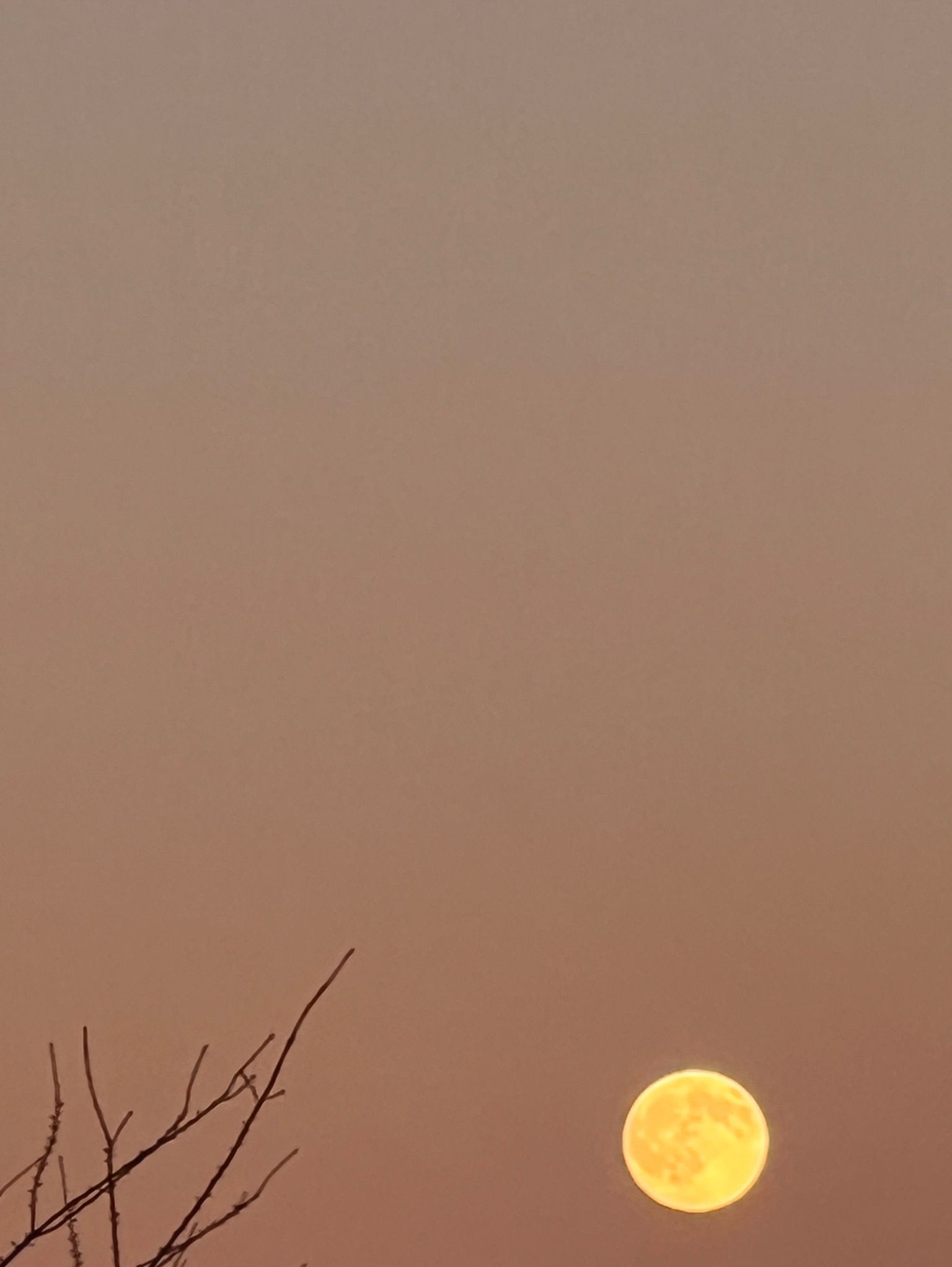 Community photo by Sudhir