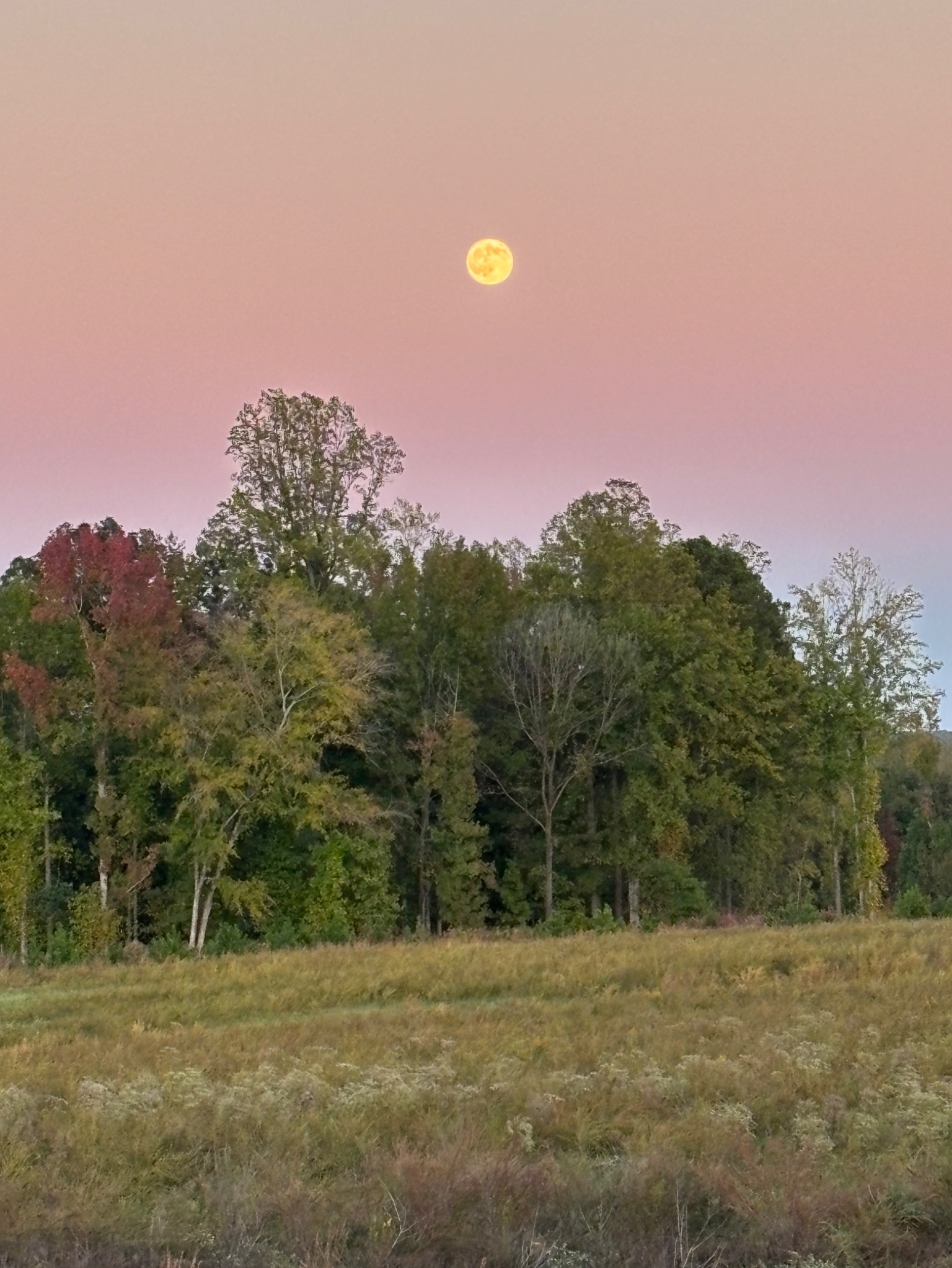 Community photo by Penny Pierce | Pittsboro, NC  USA