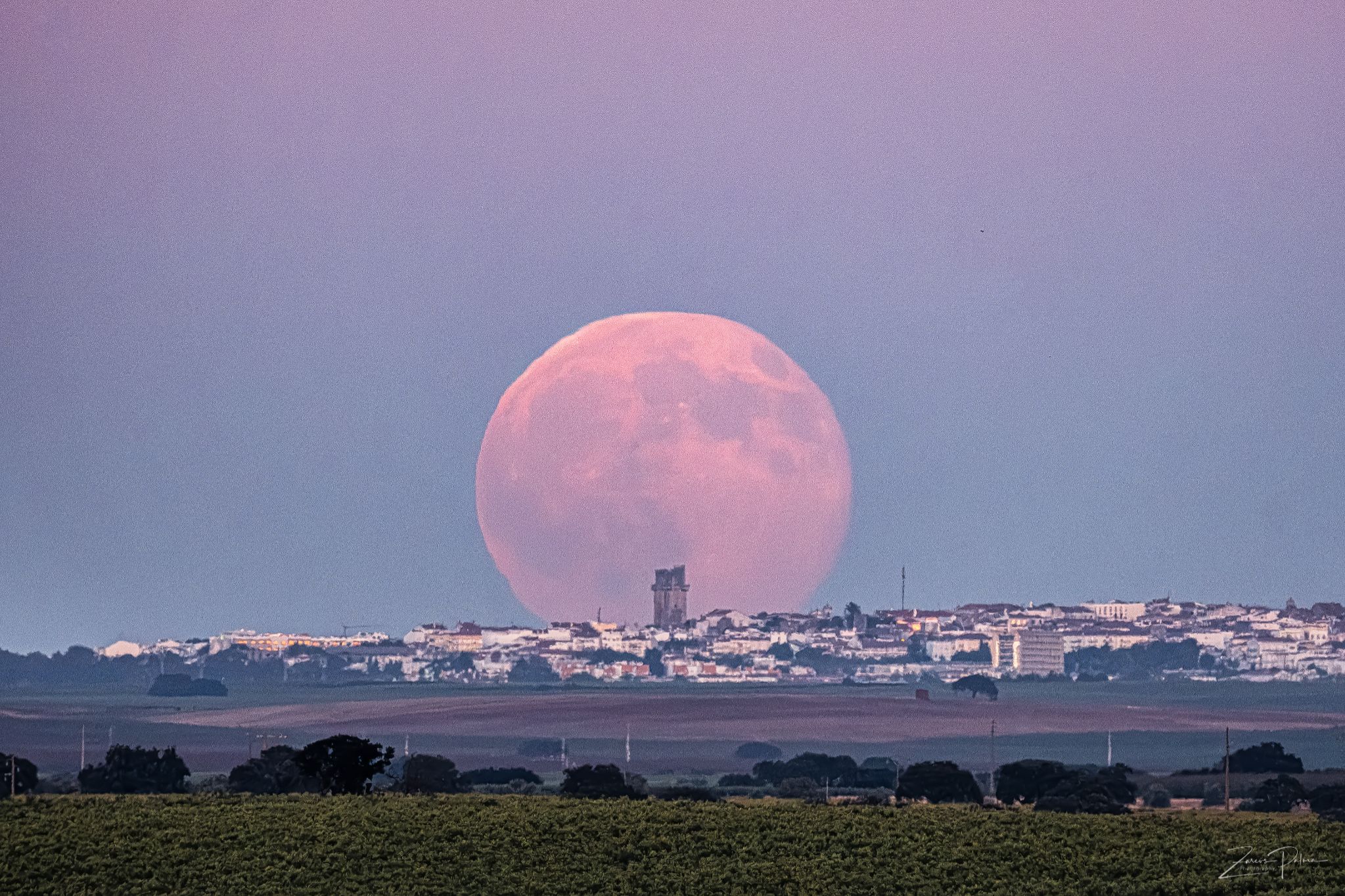 Community photo by JOSE ZARCOS PALMA | Beja - Portugal