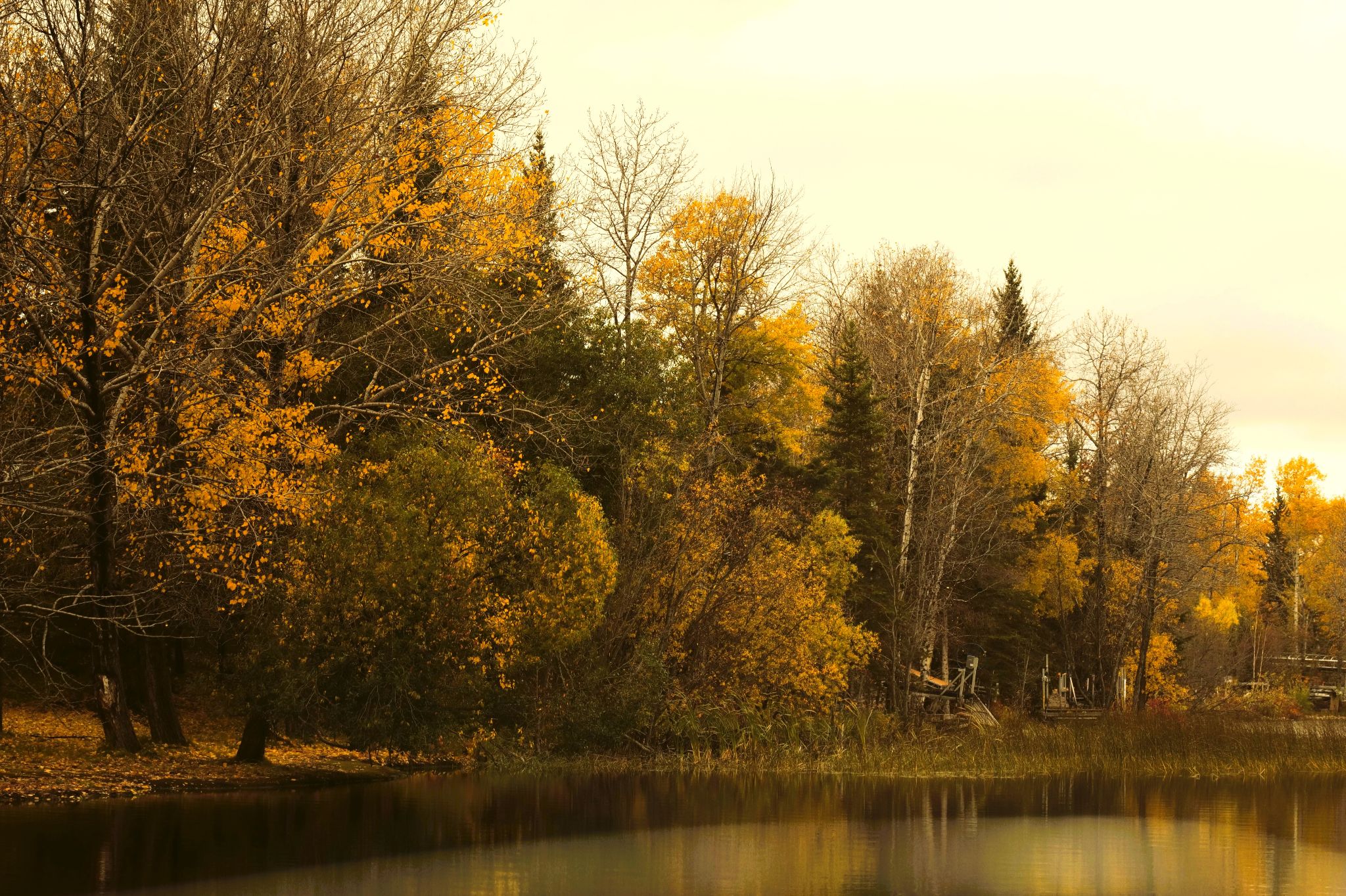 Community photo by Elmarie van Rooyen | Hanmore Lake