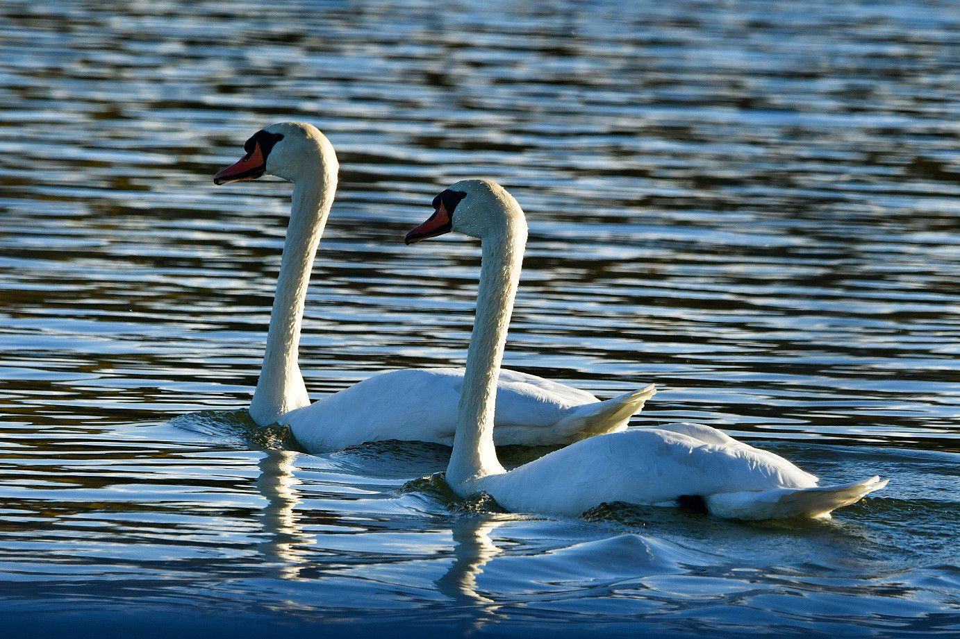 Community photo by Lorraine