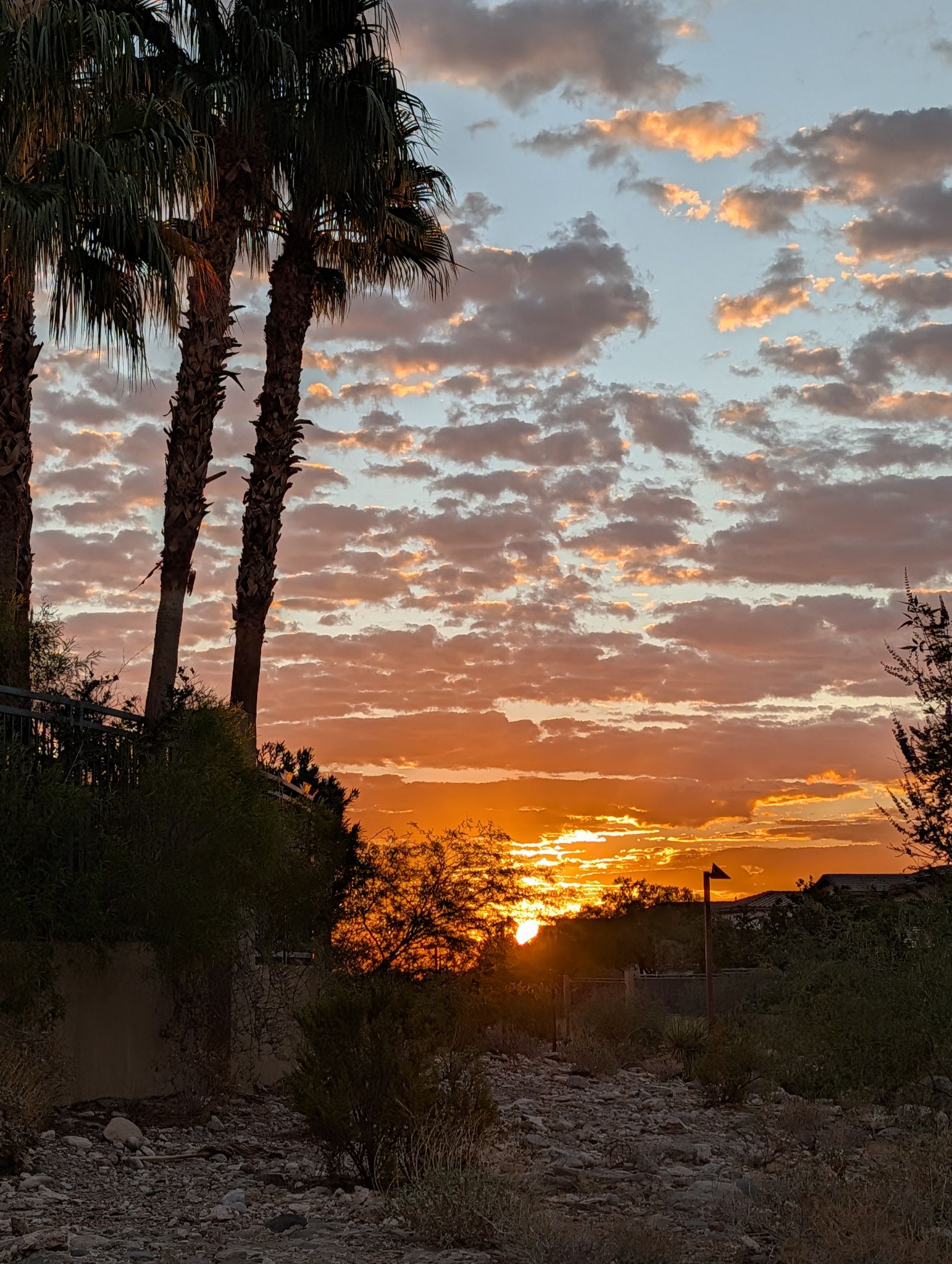 Community photo by Craig Ruark | Summerlin, Las Vegas, Nevada