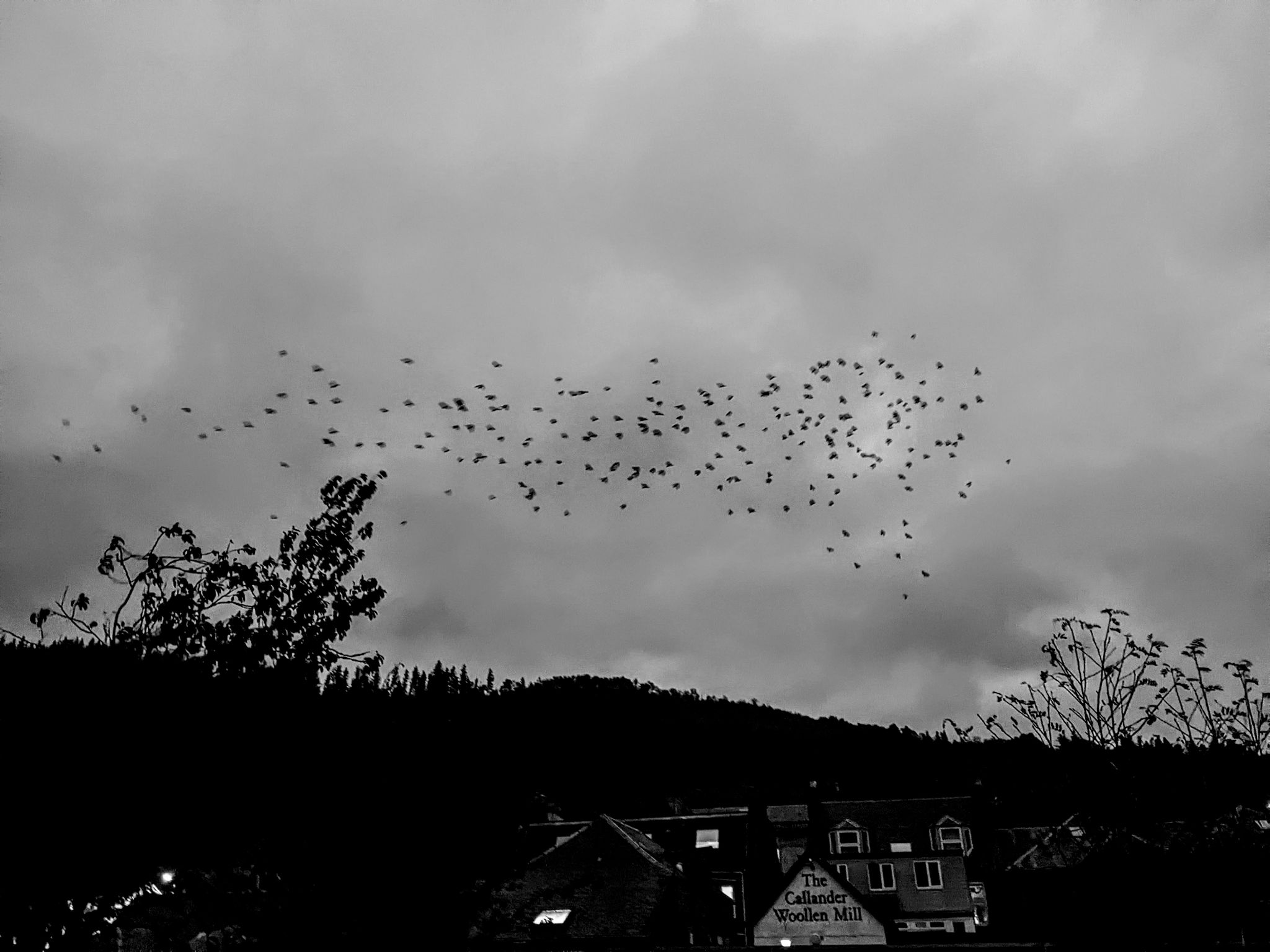 Community photo by Kevan