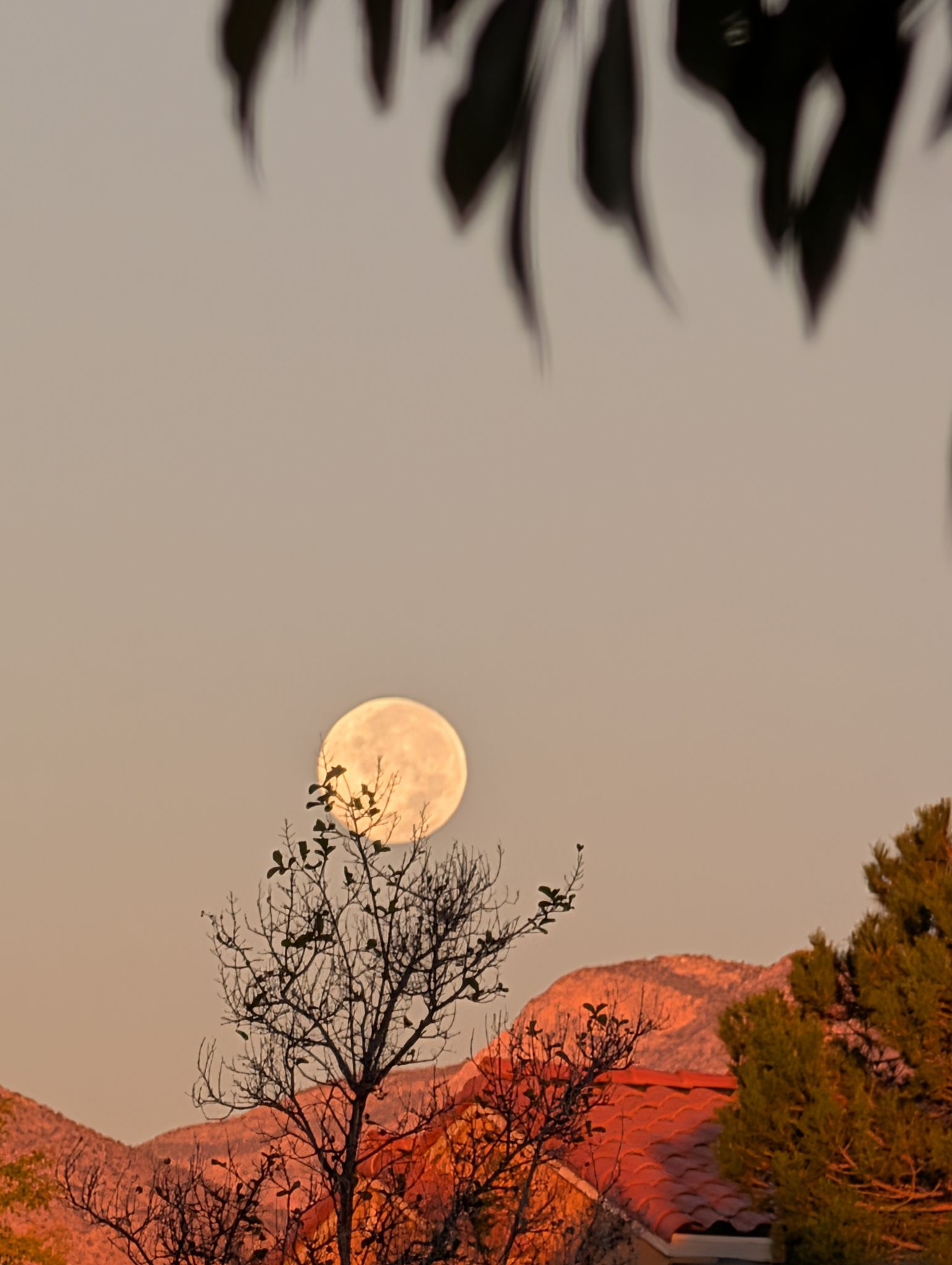 Community photo by Craig Ruark | Summerlin, Las Vegas, Nevada