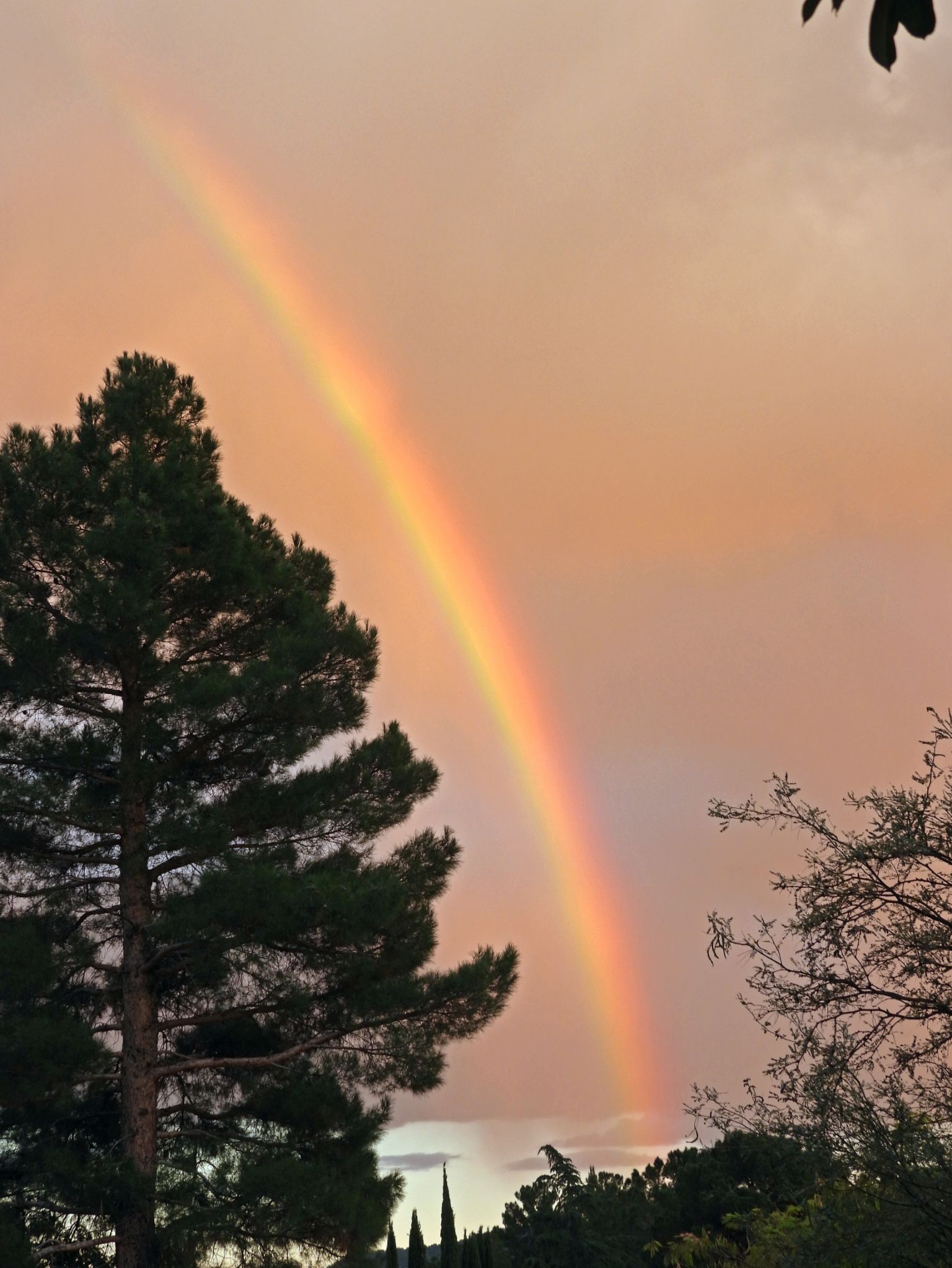 Community photo by Victor Rogus | Sedona, Arizona, USA