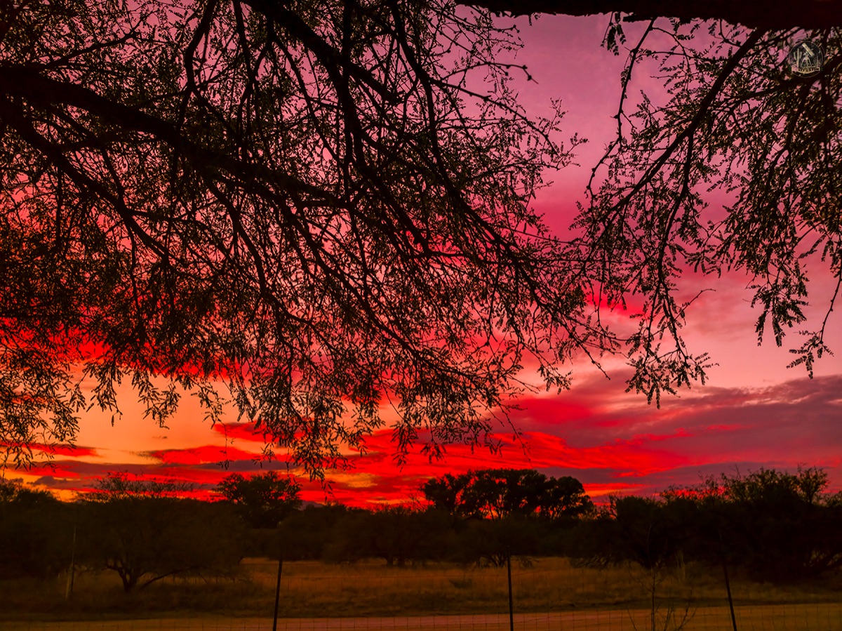 Community photo by Jelieta