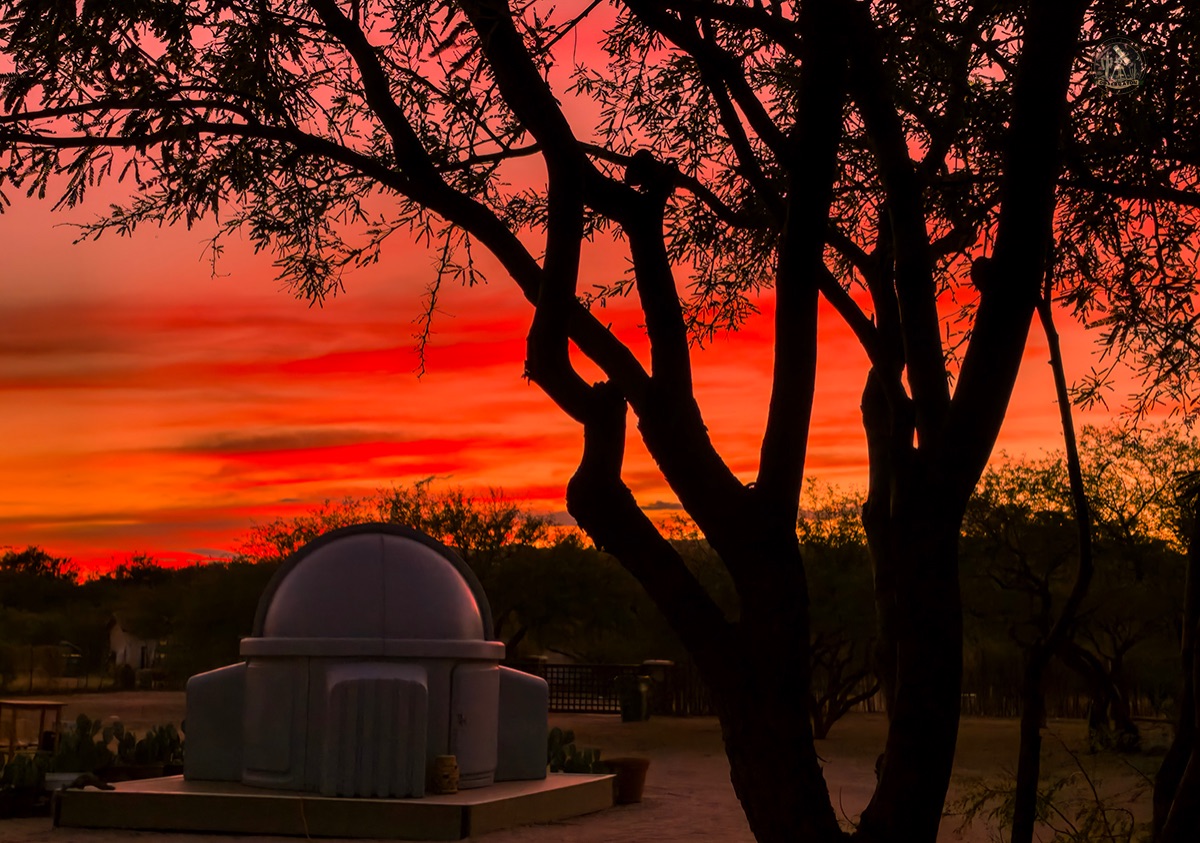 Community photo by Jelieta Walinski Ph.D | Desert bloom Observatory, AZ, USA