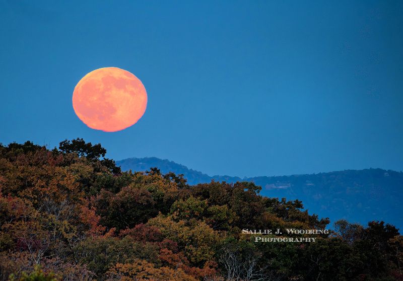 Community photo by Sallie Woodring | Blue Ridge Parkway